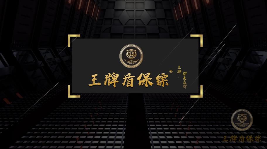 近身保護【醫(yī)療評估與支援】